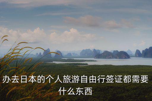 辦去日本的個人旅游自由行簽證都需要什么東西