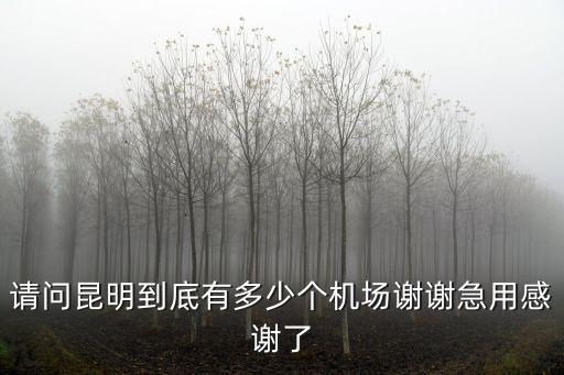 請(qǐng)問昆明到底有多少個(gè)機(jī)場謝謝急用感謝了