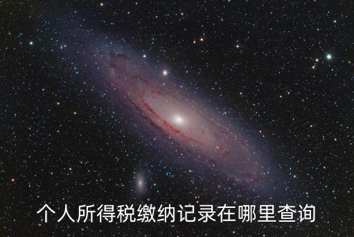 個稅查詢系統，怎樣查個人所得稅交了多少