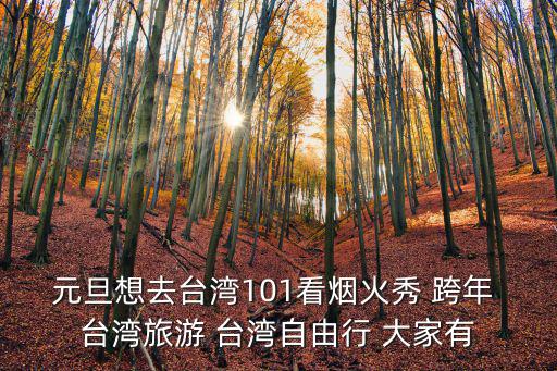 元旦想去臺(tái)灣101看煙火秀 跨年 臺(tái)灣旅游 臺(tái)灣自由行 大家有