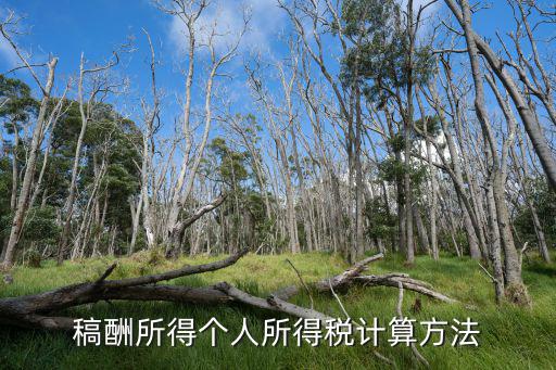 稿酬所得個人所得稅計算方法