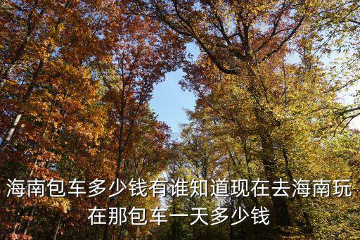 海南包車多少錢有誰知道現(xiàn)在去海南玩在那包車一天多少錢