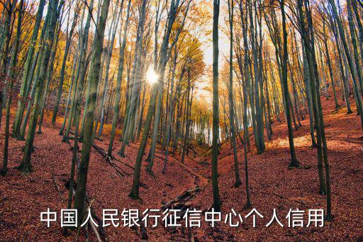 央行征信中心官網，中國人民銀行征信中心個人信用