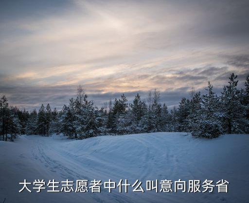 志愿服務意向，大學生志愿者中什么叫意向服務省