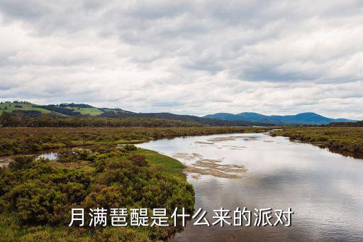 月滿琶醍是什么來的派對