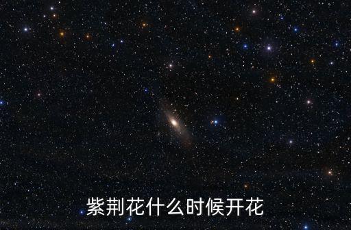 紫荊花花期，紫荊花什么時候開花
