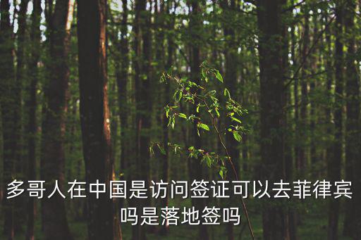多哥人在中國是訪問簽證可以去菲律賓嗎是落地簽嗎