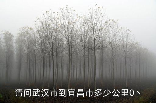 請(qǐng)問武漢市到宜昌市多少公里0丶