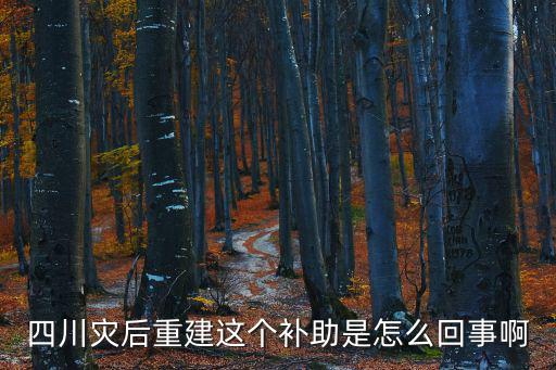 四川災(zāi)后重建這個(gè)補(bǔ)助是怎么回事啊