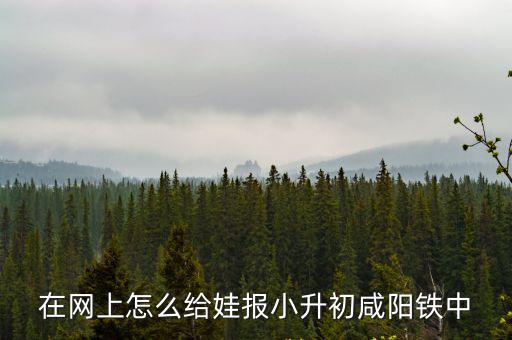 在網上怎么給娃報小升初咸陽鐵中