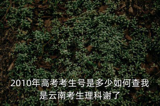 高考報(bào)名號(hào)查詢，2010年高考考生號(hào)是多少如何查我是云南考生理科謝了