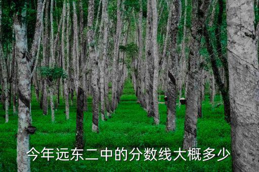 今年遠東二中的分數線大概多少