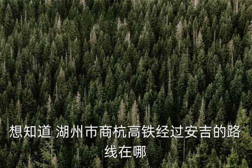 湖杭高鐵，宣杭鐵路未來的發展趨勢到底是什么是永遠普速列車還是通高鐵動車