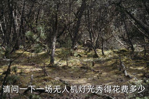 請問一下一場無人機燈光秀得花費多少