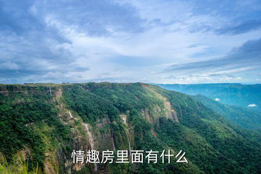情趣房里面有什么