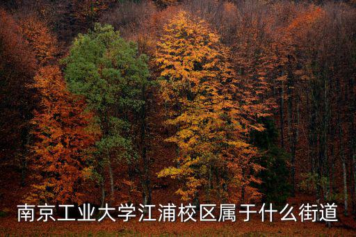 南京工業大學江浦校區屬于什么街道