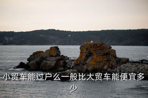 小貿車，小貿車與大貿車的進口貨物證明書一樣