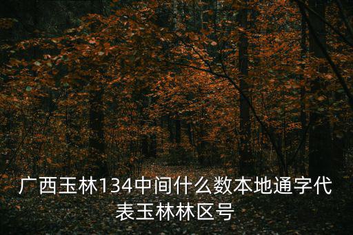 廣西玉林134中間什么數本地通字代表玉林林區號