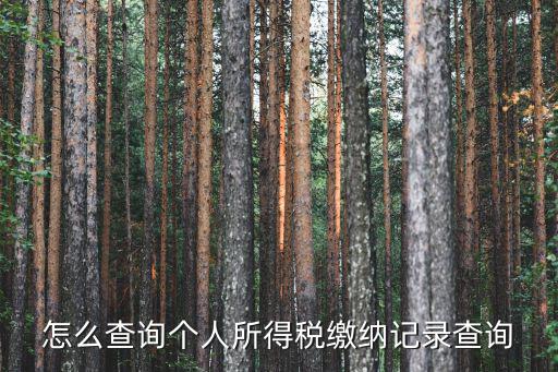 怎么查詢個人所得稅繳納記錄查詢