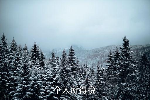 個人所得稅