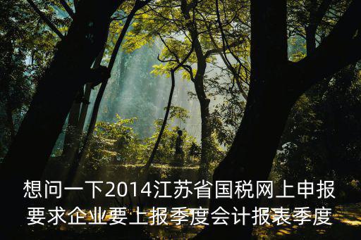 想問一下2014江蘇省國稅網(wǎng)上申報要求企業(yè)要上報季度會計報表季度