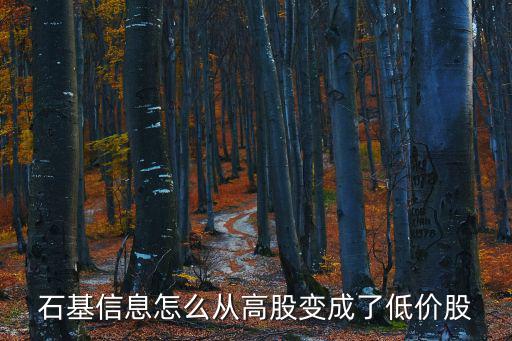石基公司，石基南浦的口香糖廠在哪里