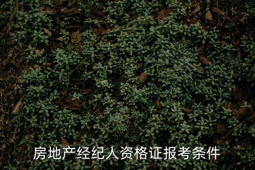 房地產(chǎn)經(jīng)紀(jì)人資格證報(bào)考條件