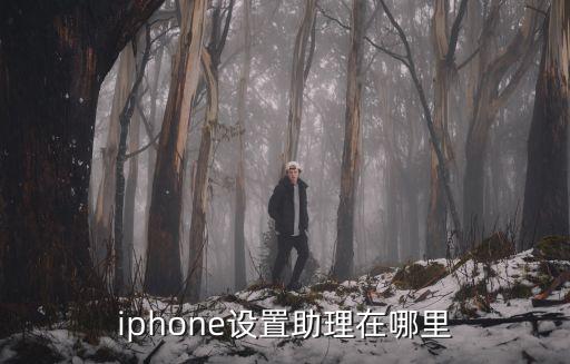 iphone設置助理在哪里