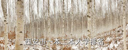 西安市一本二本大學排名