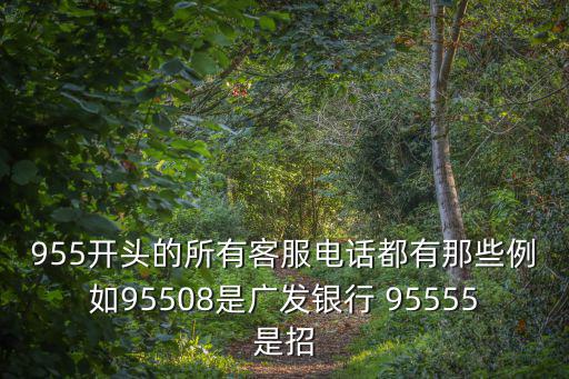 955開頭的所有客服電話都有那些例如95508是廣發(fā)銀行 95555是招