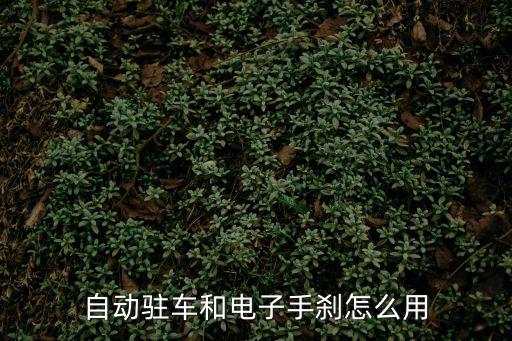 電子手剎怎么用，一下電子手剎和自動駐車的知識了到底應(yīng)該怎么用