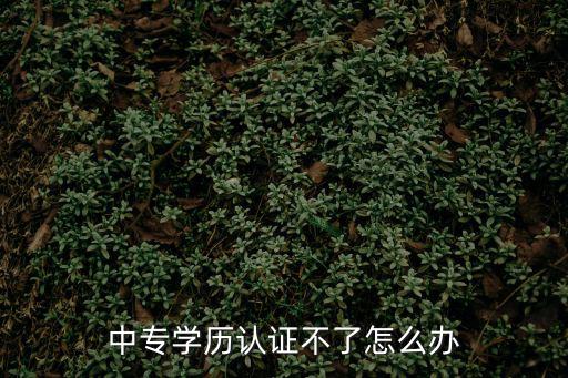 中專學歷認證，中專學歷認證不了怎么辦