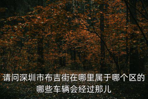 請(qǐng)問深圳市布吉街在哪里屬于哪個(gè)區(qū)的哪些車輛會(huì)經(jīng)過那兒