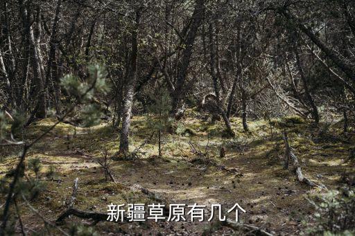 新疆草原有幾個