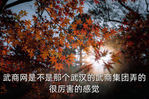 武網(wǎng)，最近?？吹轿渖叹W(wǎng)在弄特價(jià)團(tuán)購什么的武商網(wǎng)是干嘛的怎么之前都