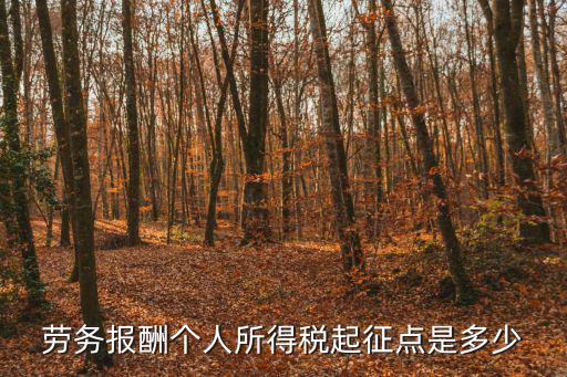 勞務報酬個人所得稅稅率表，勞務報酬個人所得稅起征點是多少