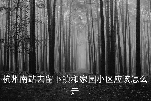杭州南站去留下鎮和家園小區應該怎么走