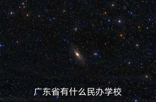 廣東省有什么民辦學(xué)校
