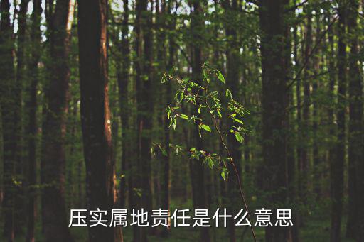 壓實屬地責任是什么意思