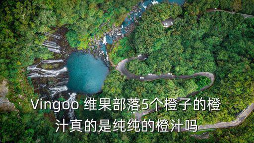 Vingoo 維果部落5個橙子的橙汁真的是純純的橙汁嗎