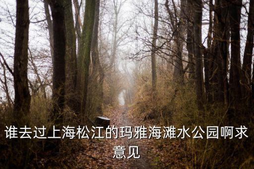 上海瑪雅海灘水公園，上海瑪雅海灘水公園怎么樣好不好的默認點評