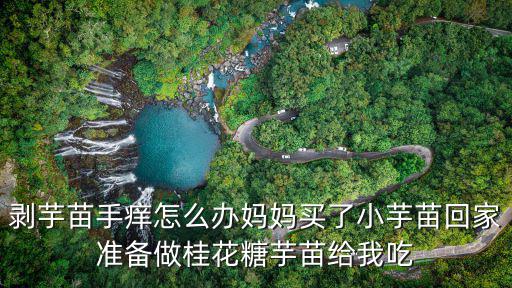 桂花糖芋苗，漢食饌桂花糖芋苗攻略