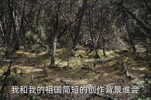 秦詠誠，我和我的祖國的原唱是誰