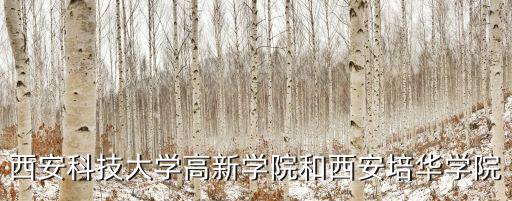 西安科技大學高新學院和西安培華學院