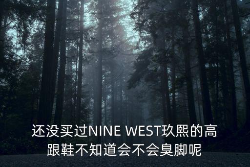 還沒買過NINE WEST玖熙的高跟鞋不知道會不會臭腳呢
