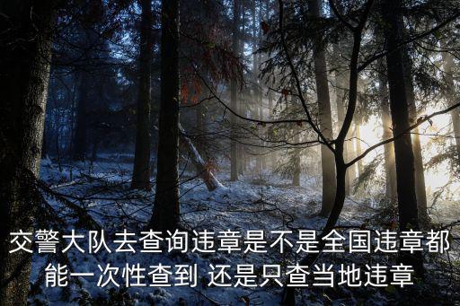 全國查違章車輛查詢，違章查詢 駕駛證查違章2015官方專業版免費支持全國車輛違章查