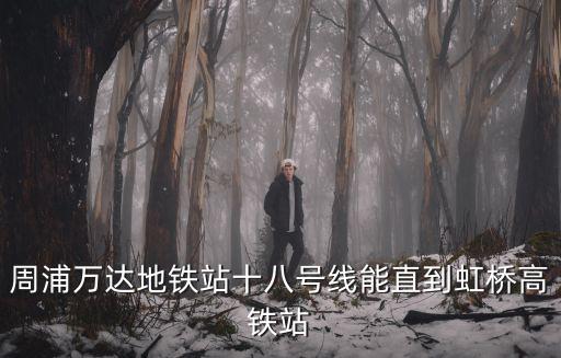周浦萬達地鐵站十八號線能直到虹橋高鐵站