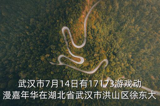 武漢市7月14日有17173游戲動漫嘉年華在湖北省武漢市洪山區徐東大