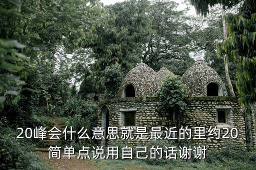 20峰會什么意思就是最近的里約20簡單點說用自己的話謝謝