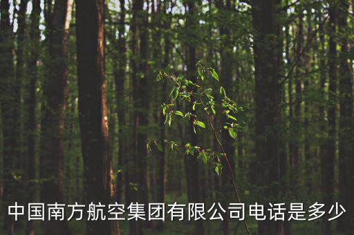 南方航空公司電話，南航電話是多少南航電話是什么